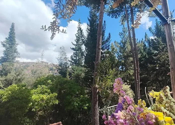 Forest Gem, 1 Min To Sacsayhuaman, Near The Main Square Chalet *