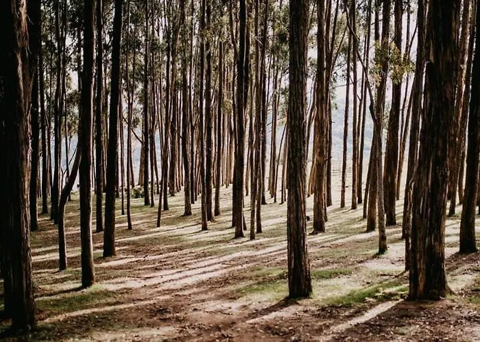 Forest Gem, 1 Min To Sacsayhuaman, Near The Main Square *